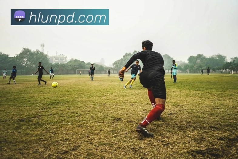 AI Risk Control
